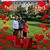 Patricia Mudrinich's profile image