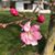 Deborah Guess-Moore's profile image