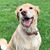 Jenny Miller Bell's profile image