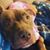 Linda Vonsin's profile image