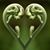 Diane ODonnell's profile image