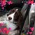 Betsy Hellmuth's profile image
