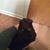 Jeffrey Matthew Kotynia's profile image