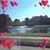 Leticia Alvarez's profile image