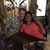 Renee Gamez Laidlaw's profile image