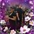 Debbie Gauthier Longenecker's profile image