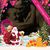 Terri Batt's profile image