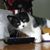 Dede Gilbert's profile image