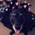 Breana Barroso's profile image