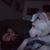 David Atchison's profile image