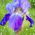 Laura Barton's profile image
