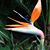 Shirley Sammons Sanborn's profile image
