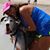 Kimberly Mygrant's profile image