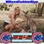 Missy Hayes's profile image
