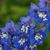 Kevin-Kathy Wesolowski's profile image