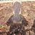 Daniel Elliott's profile image