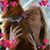 Karen Sanzo's profile image