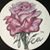 Cassandra Motley's profile image