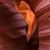 Paul Alicea's profile image