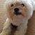Heather Prichard's profile image