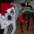 Diane Mason's profile image