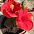 Betty Lopez's profile image