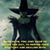Diane Squillante's profile image