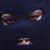 Qua Armour's profile image
