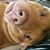 Mark D. Willis's profile image