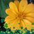 Stephen Dugay's profile image