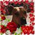 Nicole Walker's profile image