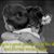 Philip Lotze's profile image