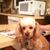 Donna Brubaker's profile image