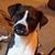 Chuck Pemberton's profile image
