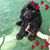 Susan Mcghar's profile image