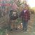 Karen McNamara-MacDougall's profile image