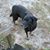 Bruce Guertin's profile image