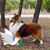Donna Sammon's profile image