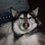 Liddy Ridley's profile image