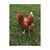 Nancy Biddick Bullard's profile image