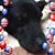Barbara Schreyer Hughes's profile image
