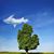 Michele Richardson's profile image