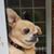 Grace Dale Hubbard's profile image