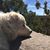 Stephanie Grace's profile image