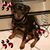 Tammi Perrine's profile image