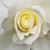 Wanda Coleman's profile image