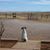 Sara Vickery's profile image