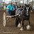 Erin Allen's profile image