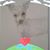 Michelle Nagle's profile image