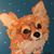 Amy Hauck's profile image